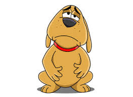 How to help dog stomach ache. How Can You Cure A Dog S Upset Stomach Petswoof Com Online Pet Supplies Store Shop For Dog Cat Birds Products Door Step Pet Grooming