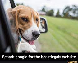 Search google for the beastiegals website 