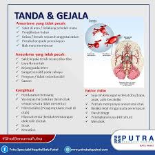 The southern hospital sdn bhd took over on 8th february 1994 and named it the southern hospital (batu pahat) sdn bhd with equity 100% owned by melaka state government. Putra Specialist Putra Specialist Hospital Batu Pahat