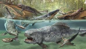 During the devonian, two major animal groups colonized the land. The Devonian Period Facts And Pictures