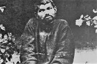 Image result for mowgli indian wolves