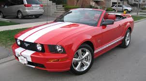 2006 Ford Mustang Pictures Cargurus 2006 Ford Mustang Ford Mustang Mustang