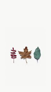 Various Paper Leaves Best Iphone Wallpapers Iphone Wallpaper Fall Backgrounds Iphone