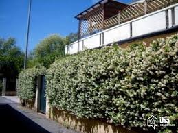 Case a 1800 euro in affitto massa. Appartamento In Affitto A Marina Di Massa Iha 46757