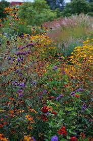 Pin On Wildflowers