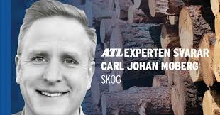 Vad ska man tänka på inför återbeskogning.