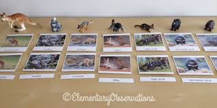 Australian Animal Nomenclature Free Cards From Montessori Printshop And Figures From Minizoo Com Au Elementary Animal Cards Free Cards