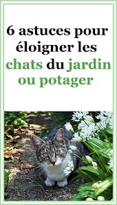 6 Astuces Pour Eloigner Les Chats Du Jardin Ou Potager En 2020 Jardins Potager Repulsif Chat Jardin