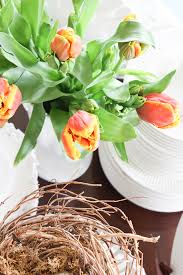 Check spelling or type a new query. How To Care For Cut Tulips So They Last Longer Stonegable