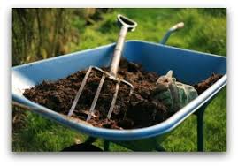 Vegetable Garden Fertilizer Tips For A Healthy Garden