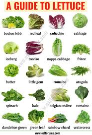 Pin By Ummohamed On ورد وفل Types Of Lettuce Vegetables Cooking Basics