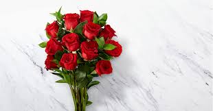 Grace flowers and events in jacksonville on weddingwire. Red 1 Dozen Roses Flower Delivery Jacksonville Fl Spencer S Jacksonville Florist