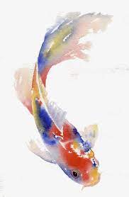 Colored Carp Png And Psd Koi Painting Koi Art Watercolor Fish