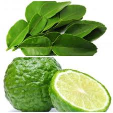 Buah dengan rasa asam dan segar ini memang kaya akan vitamin c yang tinggi. Kaffir Lime Leave 50g Daun Limau Purut Segar Buah Limau