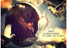 If I Had Wings I Call Your Name You Are The World Keep Calling