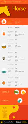 Year Of The Horse Chinese Zodiac Personality Fortune Chinese Zodiac Horse Chinese Zodiac Zodiac