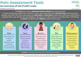 Image result for FLACC Scale
