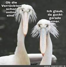 Die sprüche der einzelnen figuren gefallen ihr am besten und sobald sie sprechen konnte, hat sie alles nachgeplappert. Piggeldy Und Frederick Standen Im Stall Und Hatten Schmerzen