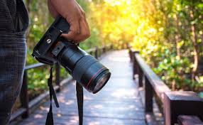 Photography Courses Colleges Careers Salary Jobs Scope Many courses on the site cost around $10, but lynda is the professional training website from business social media giant linkedin.