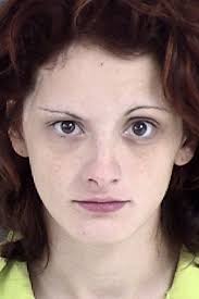 POLICE REPORTS: Local authorities report 24 arrests