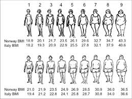 Bmi calculator checks your body mass index (bmi) and finds out if you're a healthy weight. Stunkard S Figure Rating Scale With Corresponding Mean Body Mass Index Download Scientific Diagram