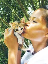 LANTA ANIMAL WELFARE (Ban Sala Dan): Ce qu'il faut savoir pour votre visite  (avec critiques)