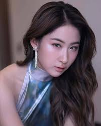 Rescue efforts underway for Yokoono the pitbull