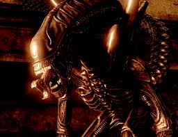 Game dlc goofs trophies/achievements characters weapons. Aliens Vs Predator Review Gamespot