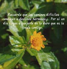 Leer más frases de la vida. Recuerda Que Los Caminos Dificiles Conducen A Destinos Hermosos Frases Pw