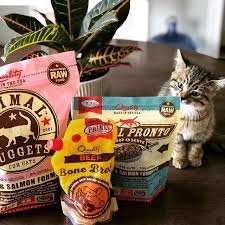 Has been added to your cart. Tiny Fur Babies Love Primal In 2020 Salmon Cat Food Animals Kittens And Puppies