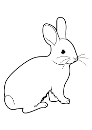 coloriage lapin 15 lapins animaux de transport peugeot