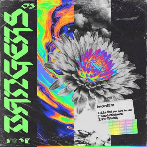 GRiZ Releases Another Bangers[3].Zip EP Just Before Kicking Off Season Two of His US Tour ile ilgili görsel sonucu