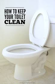 Another reason to get the water out of the bottom. How To Keep Your Toilet Clean