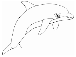 Some of the coloring page names are 17 best images about letter a b c d on activities alphabet and. Free Printable Dolphin Coloring Pages For Kids
