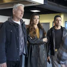 Ncis' Phineas Star Lands Huge New Role In Netflix Stalker Series You | Tv &  Radio | Showbiz & Tv | Express.Co.Uk