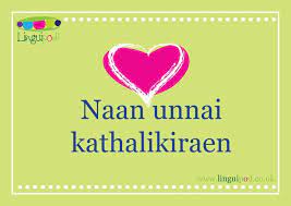Nann Unnai Kathalikiraen Is I Love You In Tamil Love You I Love You Say I Love You