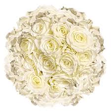 We did not find results for: Amazon Com Globalrose 200 Fresh Cut White Roses Wedding Log Stem Flowers Fresh Flowers Wholesale Express Delivery Grocery Gourmet Food