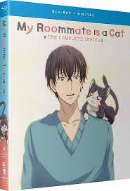 My Roommate Is a Cat: The Complete Series [Blu-ray] : Kaoru Suzuki: Movies  & TV - Amazon.com