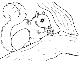 When it gets too hot to play outside, these summer printables of beaches, fish, flowers, and more will keep kids entertained. Squirrel Coloring Pages 100 Images Free Printable