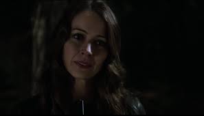 Person of Interest': "Sotto Voce" Review