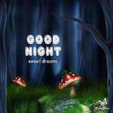 When you see wishes from your friends on your mobile you became very happy. 200 Beautiful Good Night Images Photos Pictures 2021 Funky Life