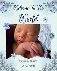 Superior Plumbing And Drains, LLC