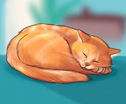 What A Sleeping Position Can Reveal About Your Cat Cute sleeping cartoon cat, artwork for children wear in custom colors. sleeping position can reveal about your cat