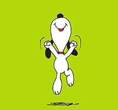 Thanks for watching gif virgin radio dubai. Welcoming The New Year With Snoopy S Dance And Thank You For Supporting This Tumblr For The Past 3 Years Stay Ins Snoopy Happy Dance Snoopy Dance Snoopy Love