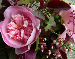 I'm going to guess that there are maggot larvae within the flowers, which matures inside my home. Weeder S Digest Peonies Part 2 Design Sponge