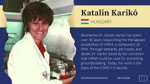 Katalin karikó is senior vice president at biontech rna pharmaceuticals. Katalin Kariko Kkariko Twitter