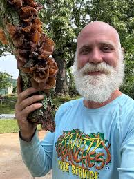 Mushroom foraging services for private properties