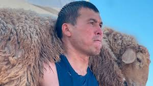 Мужчина присел с бараном на плечах более трех с половиной тысяч раз и  установлен рекорд в казахстане watch online