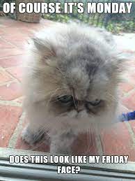 Monday Memes - Home | Facebook