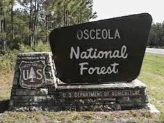 Maybe you would like to learn more about one of these? 27 Lake City Fl Ideas Lake City Lake Lake City Florida